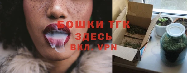 Альфа ПВП Аркадак