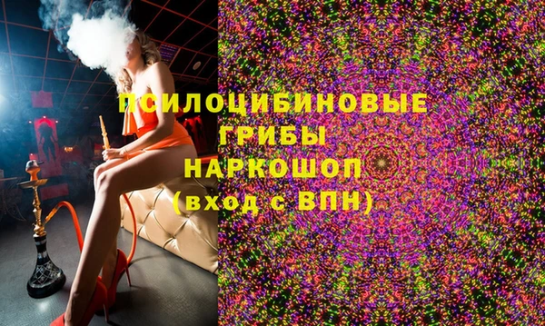 мдпв Арсеньев