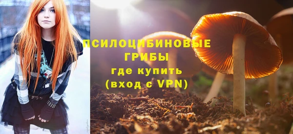 мдпв Арсеньев