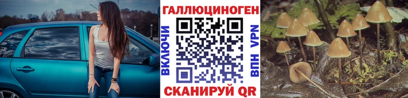 Псилоцибиновые грибы GOLDEN TEACHER  Тверь 