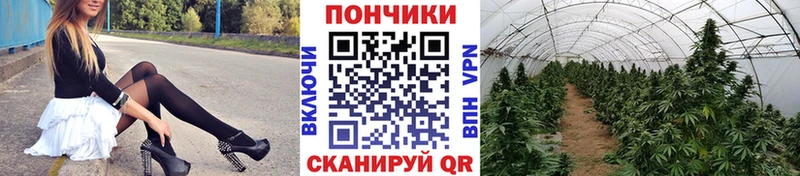 дарк нет какой сайт  Тверь  Марихуана гибрид 